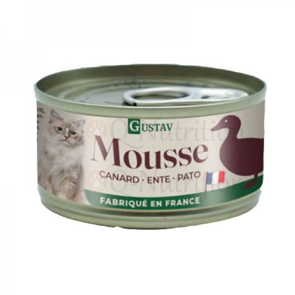 mousse chat canard