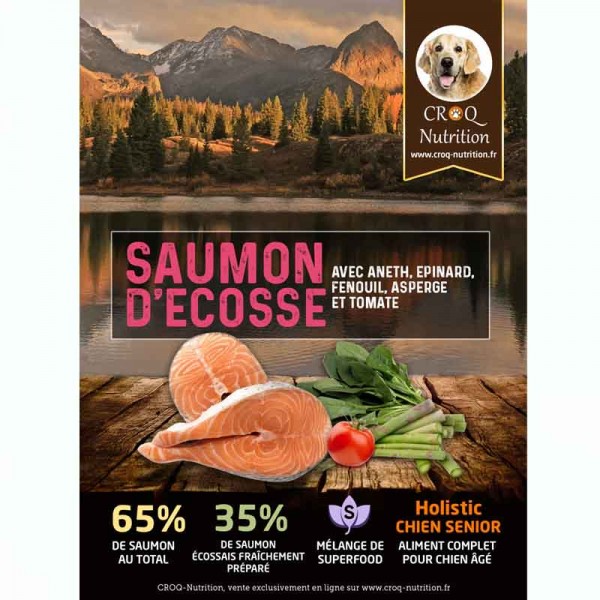Croquettes superfood holistic pour chien senior au saumon fraîchement préparé