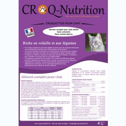 croquettes chat adulte