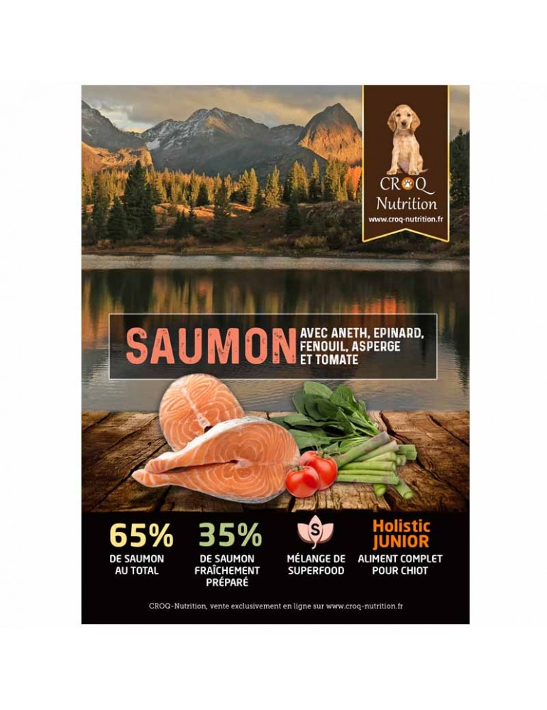 croquettes superfood holistic pour chiot au saumon fraîchement préparé