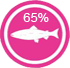 Croquettes holistiques superfood 65% saumon