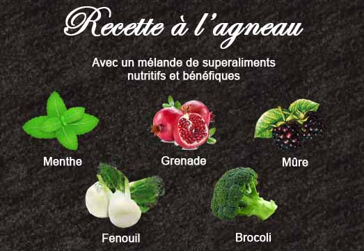 ingredients superaliments croquettes agneau superfood croq-nutrition