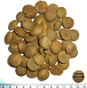 taille croquettes chien adulte performance